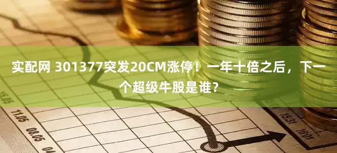实配网 301377突发20CM涨停！一年十倍之后，下一个超级牛股是谁？